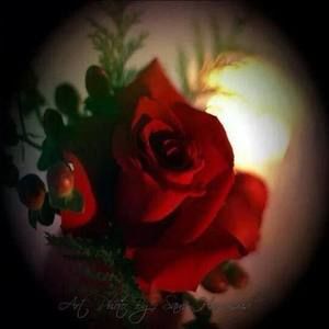 Meet your Posher, Effie